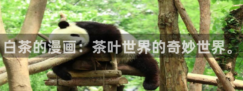 香蕉漫画书免费阅读